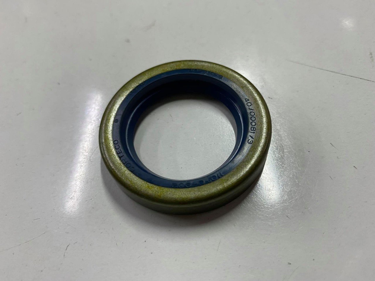 Arka Akis Keçesi Doğan Kartal Şahin