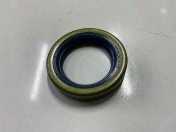 Arka Akis Keçesi Doğan Kartal Şahin