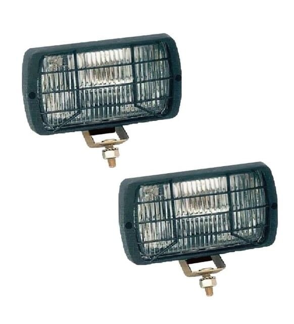 Sis Farı Doğan Kartal Şahin Çift