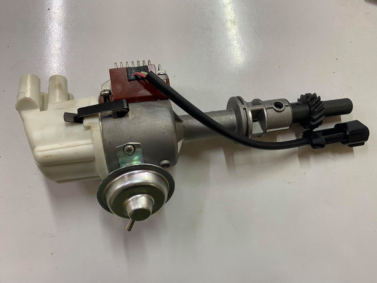 Distiribitör Doğan Kartal Tempra