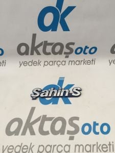 Şahin S Yazısı