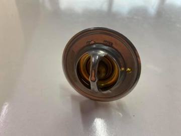 Termostat Tempra Tipo 2.0 8 Valf