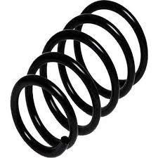 Ön Helezon Yayı Doğan Kartal Şahin